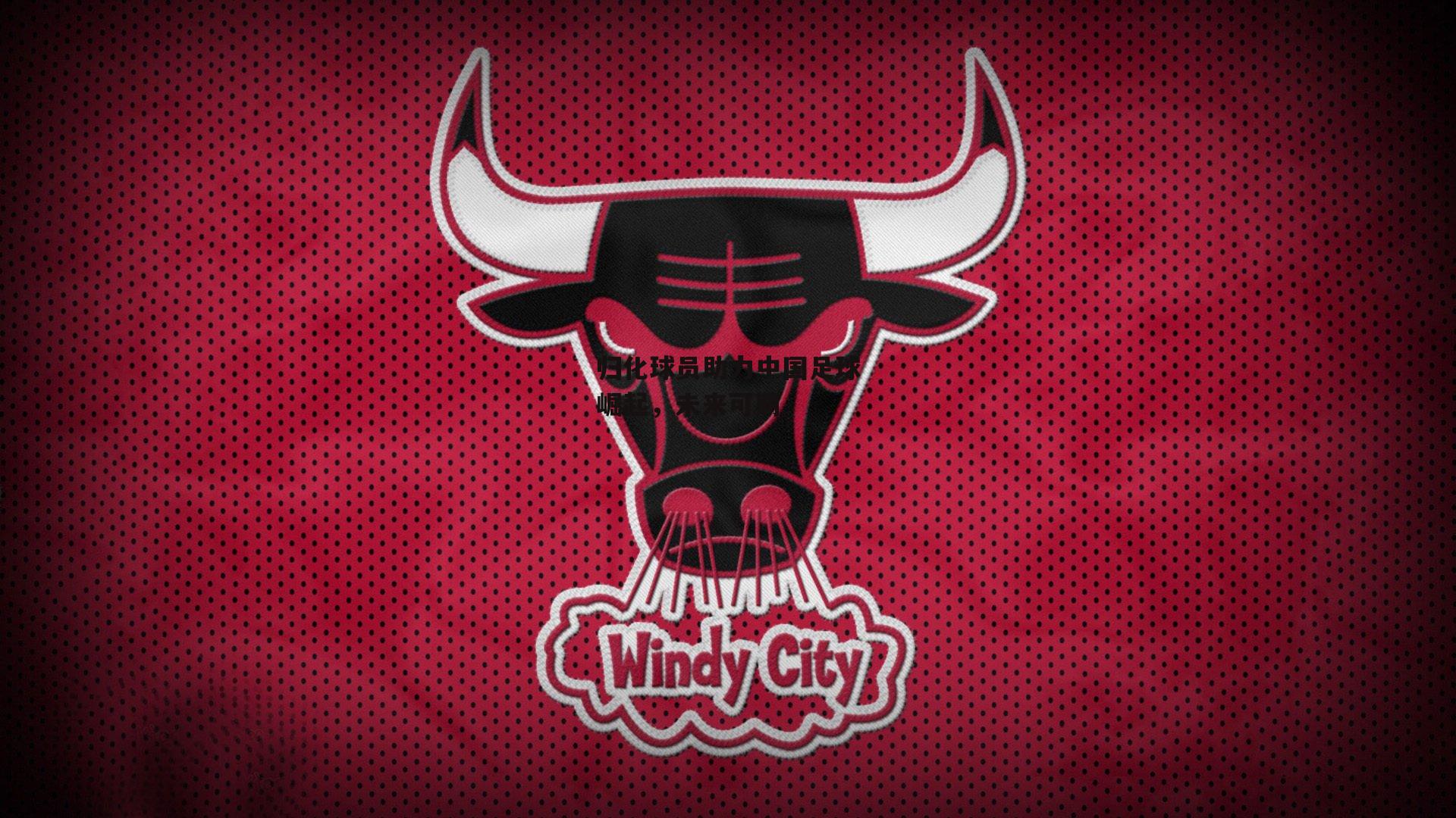 归化球员助力中国足球崛起，未来可期