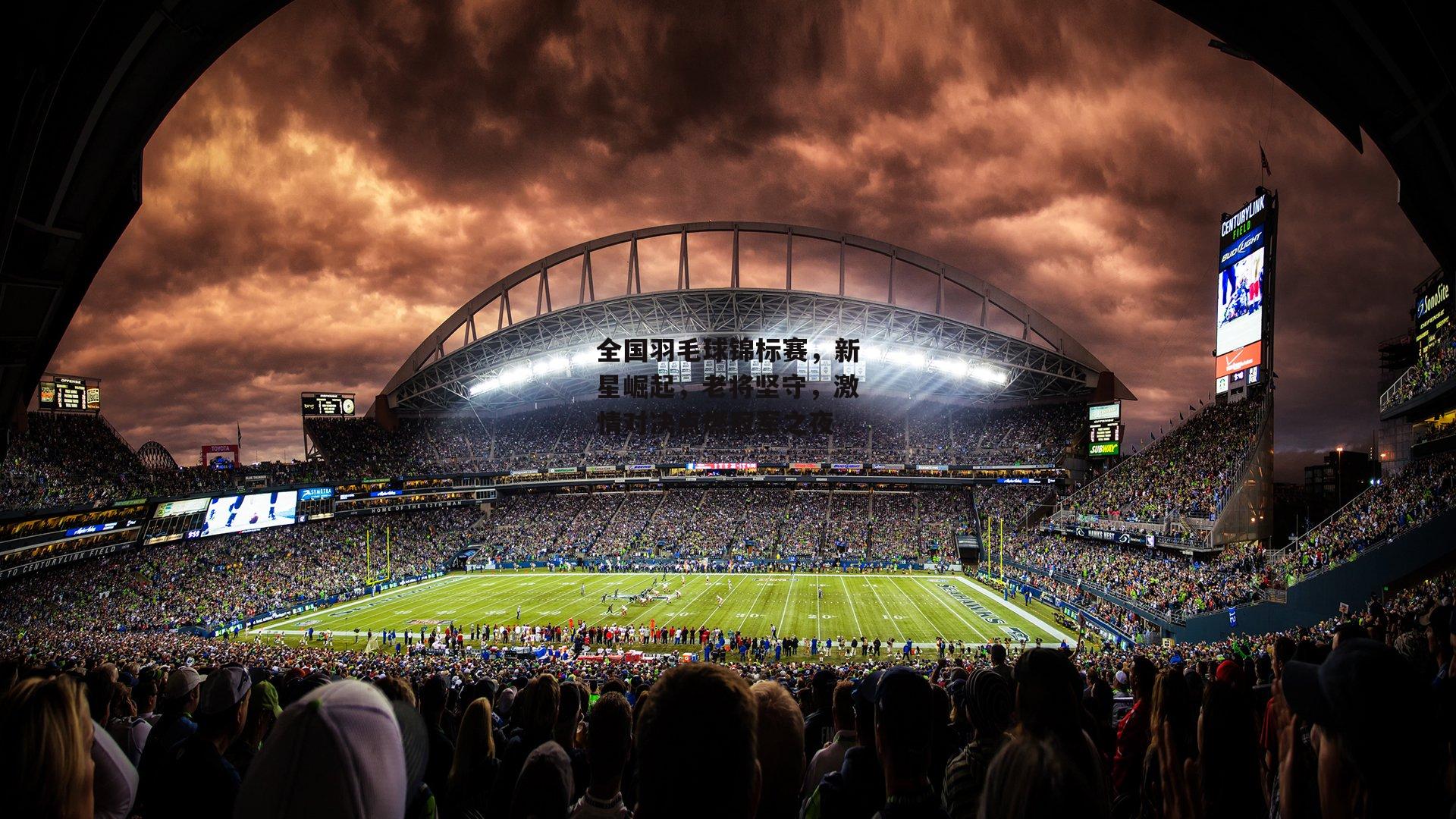 全国羽毛球锦标赛，新星崛起，老将坚守，激情对决点燃冠军之夜